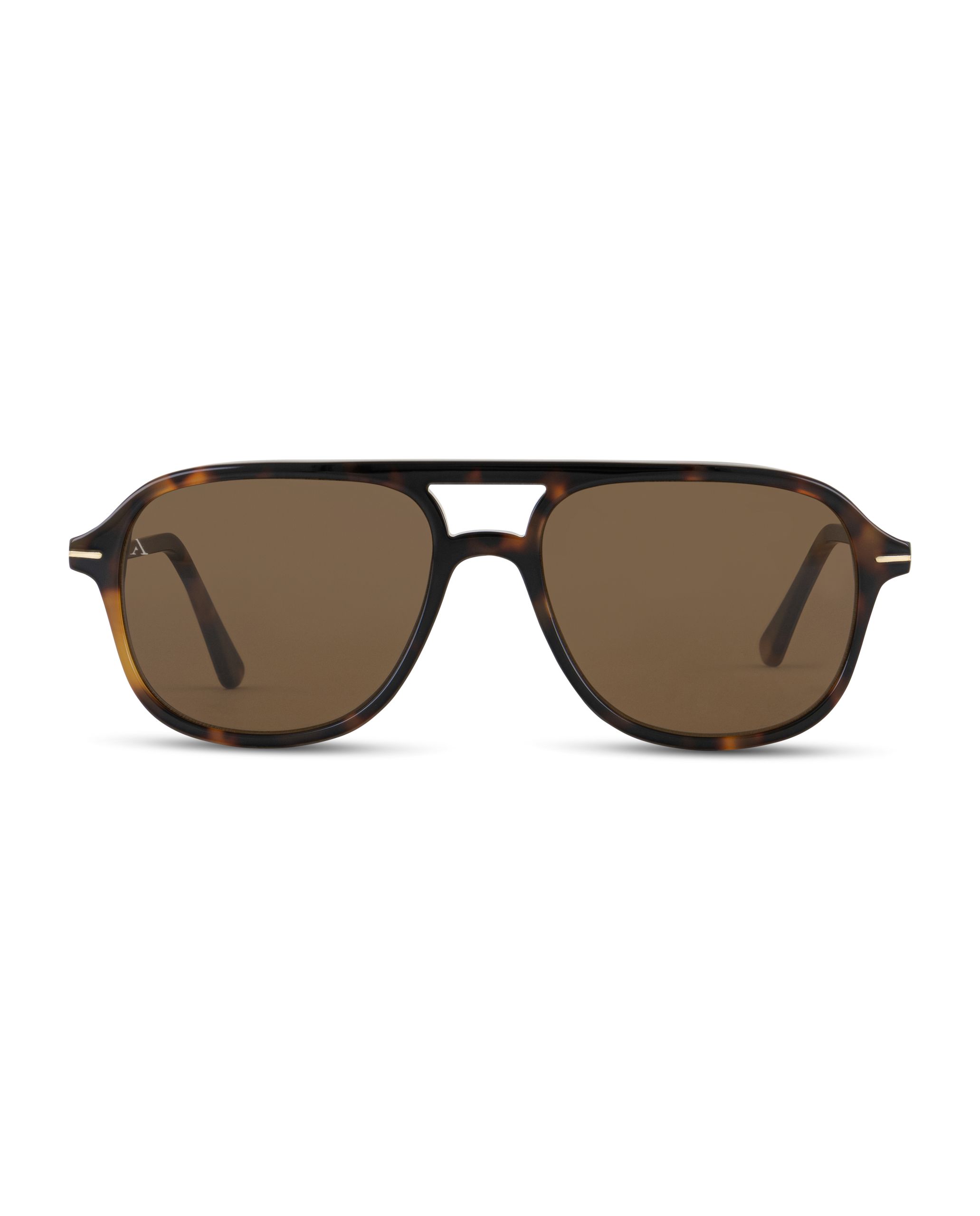 Aircrew II – Shiny Havana Brown