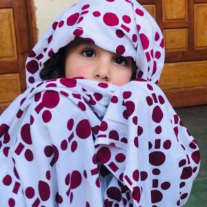 Opulent Traditional Sawabi Chail Shawl