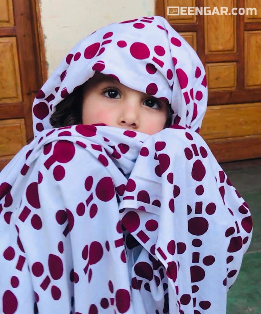 Opulent Traditional Sawabi Chail Shawl
