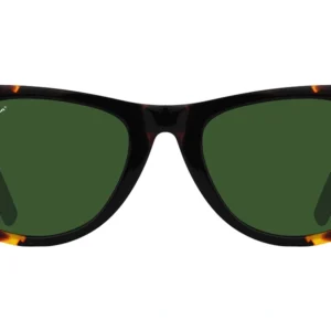 Ray Ban Wayfarer Tortoise – Modern Glasses